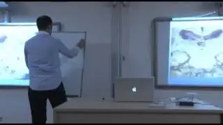 Zeki Uyar ile Organik Düzen ve Beyin Semineri