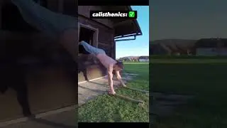 I'm just getting started... 💯🔥#dominiksky #calisthenics #parkour #mma