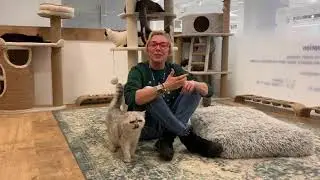 Рита Митрофанова & Adoption.vet.city