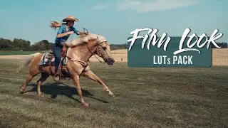 Film Look LUTs Pack for Filmmakers