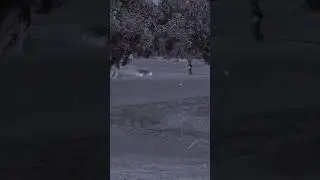 Golf Course Took the P*** Out Of HIM! 🤣