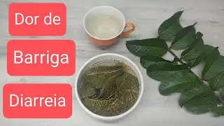 Acaba rapidamente a diarréia e dor de barriga