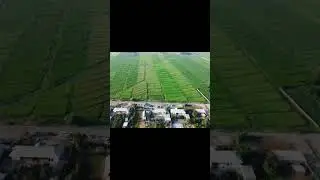 Жаш Тилек 2024
