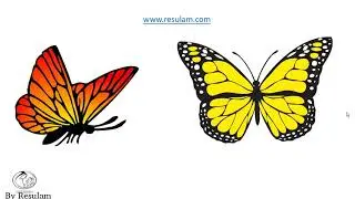 Les animaux en langue yemba part4: les insectes et les oiseaux