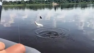 Рыбалка на фидер
