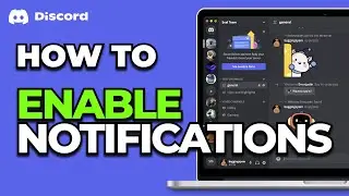 How To Enable Notifications on Discord