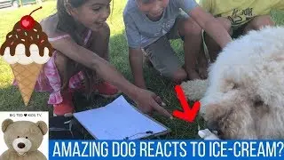 KIDS REACT TO DOG REACTING TO ICE-CREAM! Mmmmm