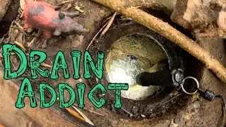 Blocked Drain 828