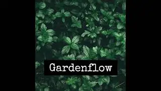 02 Mimosa - Gardenflow