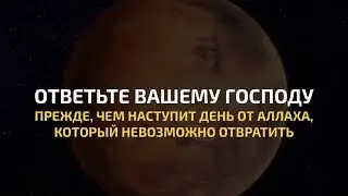Сура 42 Аш-Шура (Совет) | Мухаммад Люхайдан | Красивое чтение Корана