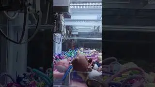 미니 뽑기 13