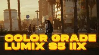 Color Grade - Lumix S5 IIX