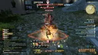 Final Fantasy XIV - How to quit you (Warrior Lvl 50)