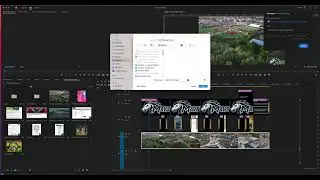 Export Tutorial