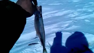 мамки