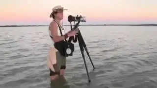 Wildlife Photography Tips From Cristina Mittermei