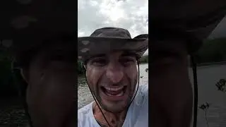 Live Bait Fishing For Barramundi
