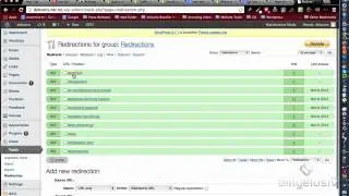 How To Create 301 Redirect To Your New Website | billyelusiv.com