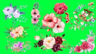 Flowers Green Screen Video Effect | Flower Green Screen No Copyright | Beautiful Flower Green Screen