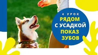Выполнение команды 