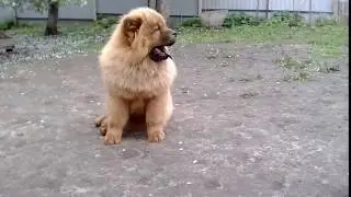 VID 20170601 0858041