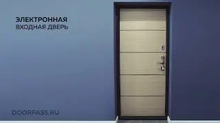 Электронная входная дверь. Smart electronic door
