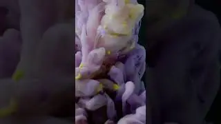краски в воде, магия красок 