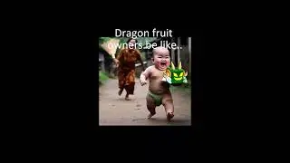 DRAGON FRUIT OWNERS BE LIKE.... #shorts #roblox #bloxfruits #dragonfruit #bloxfruitupdate20