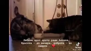 🥰sounds app