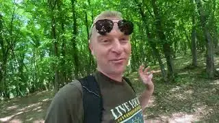 Прогулка по лесу и размышления об изучении языков #floresti #clujnapoca