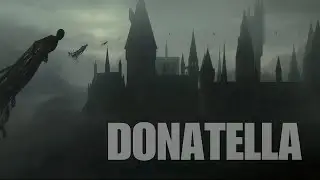 Harry Potter | Donatella by Lady Gaga