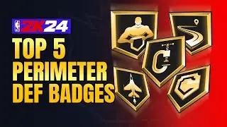 BEST PERIMETER DEFENSE BADGES in 2K24