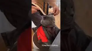 Тони Раут тогда и сейчас #раут
