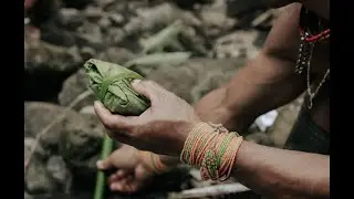 Pembisik Alam : Dibalik Pencarian Ritual Pengobatan Kuno Suku Mentawai