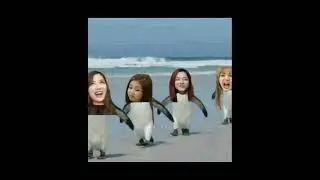 Blackpink memes that I found on Pinterest (pt.1)#kpop#blackpink#shorts