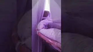 12 июня 2018 г.