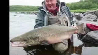 Big Atlantic Salmon