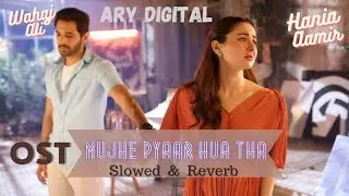 OST : Mujhe Pyaar Hua Tha - Hania Aamir, Wahaj Ali | ARY Drama Digital | New Pakistani Drama OST
