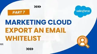 Export an Email Whitelist in Salesforce by @Ankur Chandel - Day7