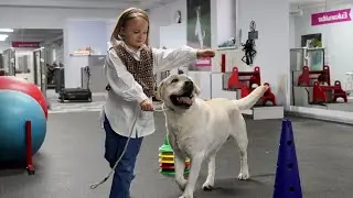 Юные кинологи