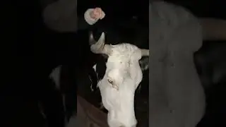 Лайфхак