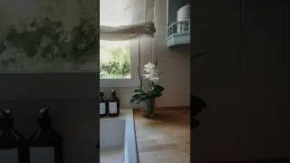 Tip Orquídeas #decoracionvlogs #casadecampo #decoracion #farmhouseideas #orquideas