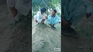 #shorts TIKTOK old comedy hai and funny short 🤣😂#shortbeta #shortfeed #comedy #funny