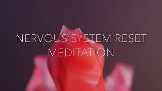 THE NERVOUS SYSTEM RESET MEDITATION