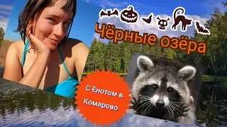 Черные озера. Однодневная поездка в Комарово.