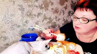 Суши на пожрать/Мукбанг роллы/обжор и разговоры на камеру/