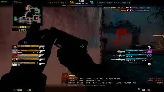 BORRANÇO NÍVEL EXPERT
