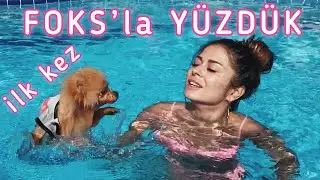 FOKS’la ilk kez havuza girdik ( ATLADI )