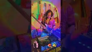 Bass Live Looping