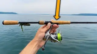 What Will It Take To Catch SMALLMOUTH BASS?